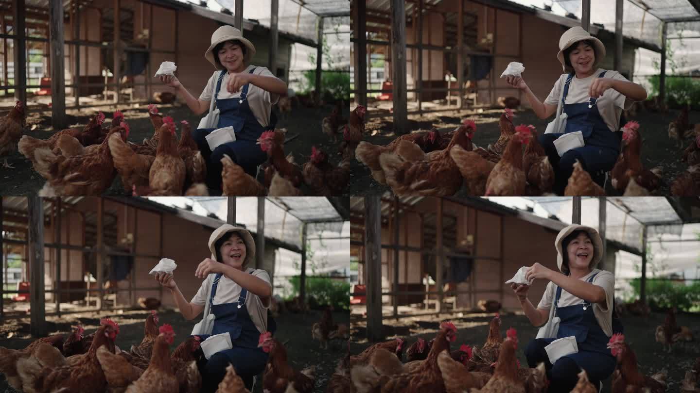 农场里照顾鸡的女人
