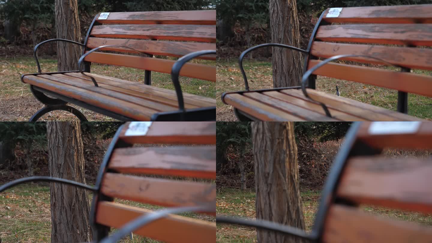 公园里的长椅
