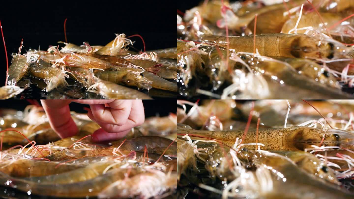 新鲜食材鲜活基围虾对虾视频素材