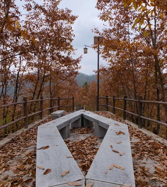 竖版秋天落叶山里的步道凄凉