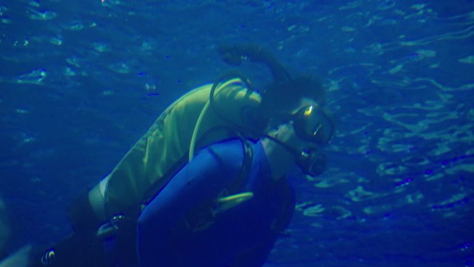 4K海洋馆海底世界潜水员潜水体验