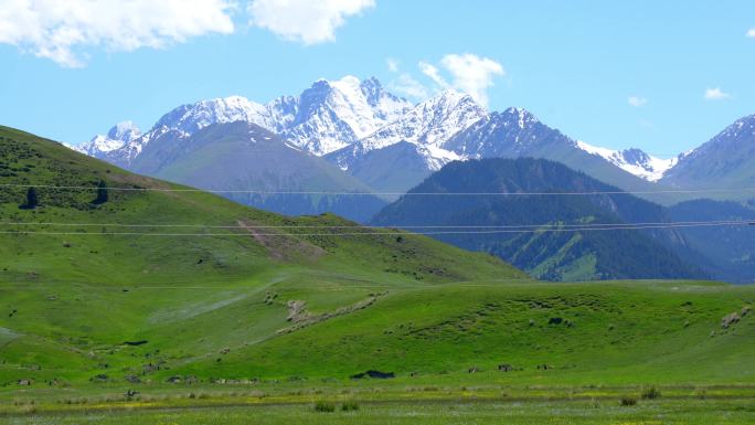 新疆伊犁昭苏的雪山草原