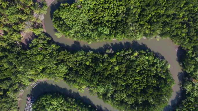 热带雨林和s弯河的俯视图