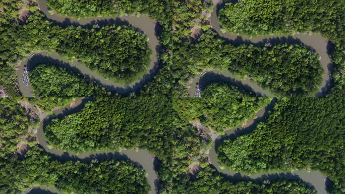 热带雨林和s弯河的俯视图