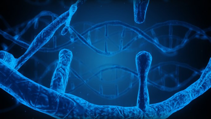 DNA细胞生长