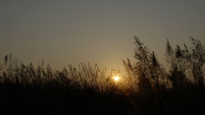 大自然下夕阳风景 黄昏日出日落