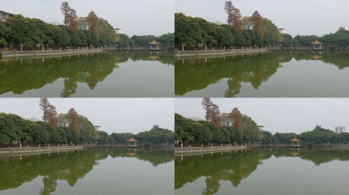 公园里平静的湖水