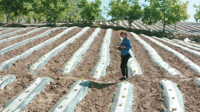 农民在农场使用数字平板电脑和监控的鸟瞰图，Smart Farming