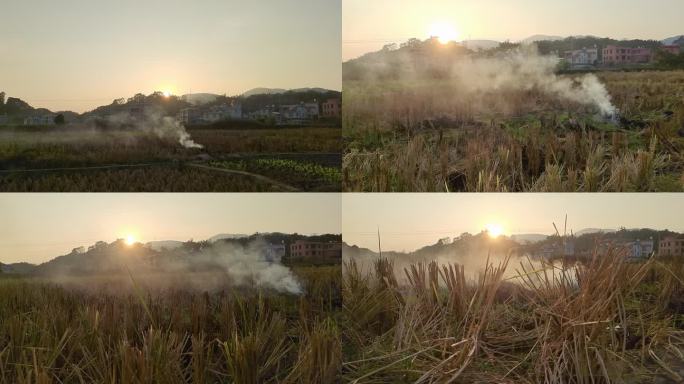 田间傍晚夕阳逆光烟雾弥漫村庄烧火烟雾缠绕