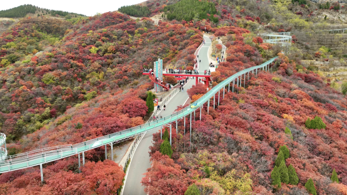 航拍红叶柿岩风景区