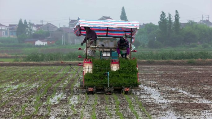 水稻插秧机插自动化机械科技农业高清素材