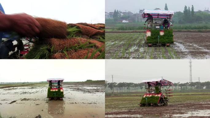 水稻插秧机插自动化机械科技农业高清素材
