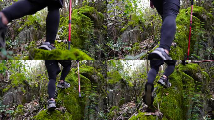 穿越原始森林徒步旅行探险脚步行走林中穿梭