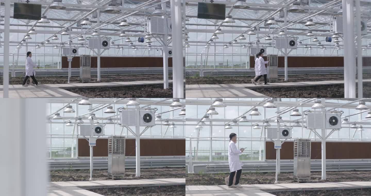 智慧乡村农业温室科技种植农艺师检测大棚