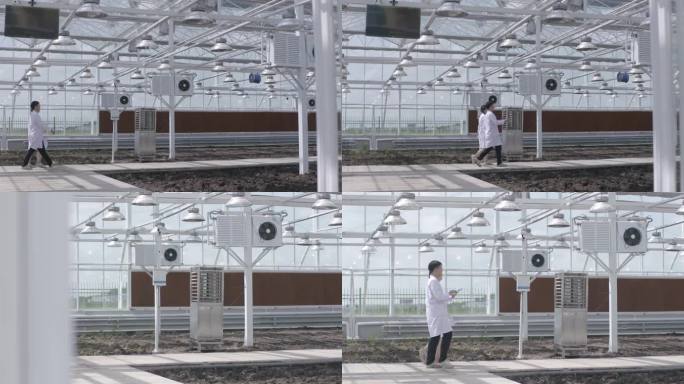 智慧乡村农业温室科技种植农艺师检测大棚