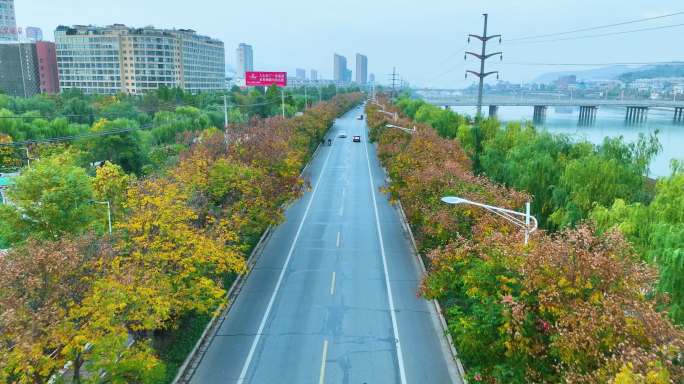 卢氏县城公路秋景航拍空镜3