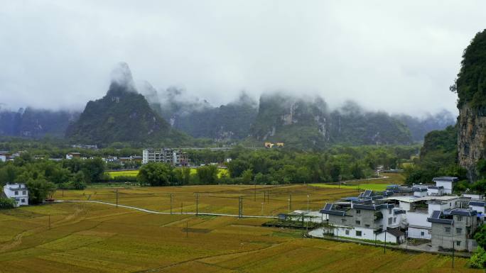 明仕田园 水墨山水风光 收割后的稻田