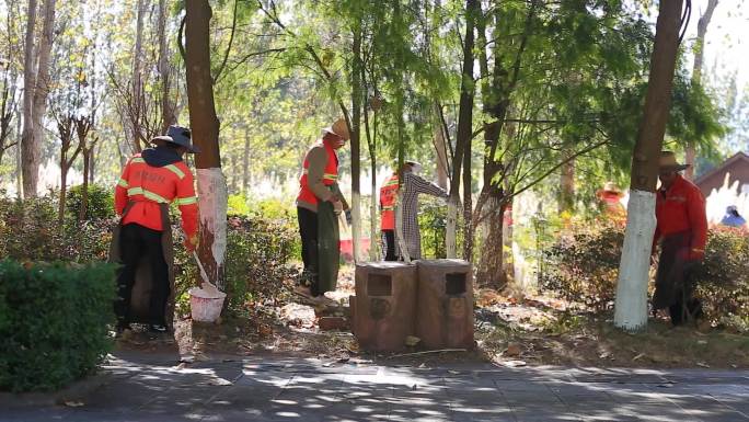 环卫工人树木刷石灰树养护刷白漆园林工人