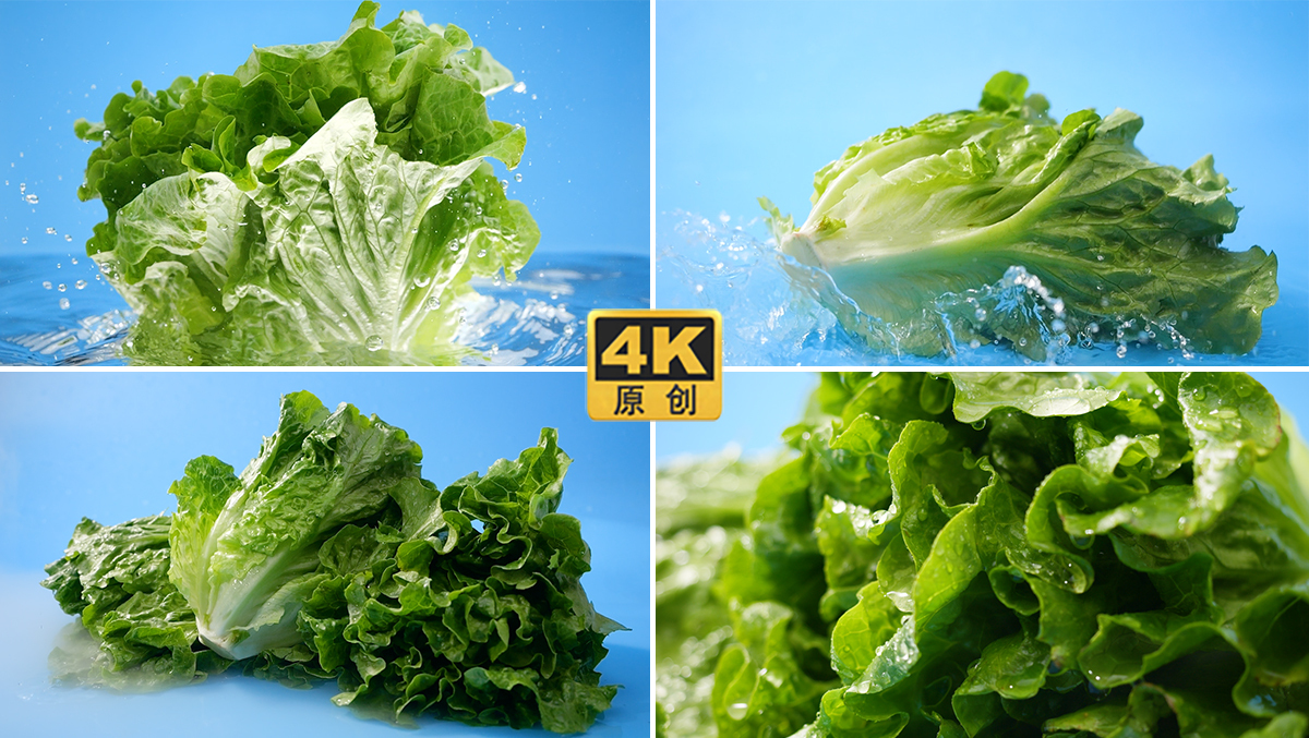 4k绿色蔬菜生菜有机蔬菜食材