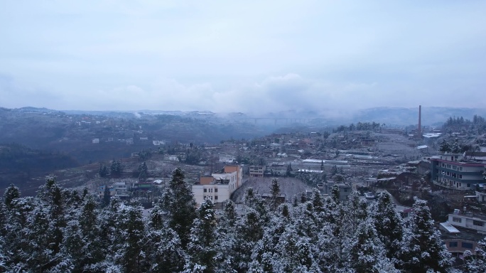 无人机飞跃白雪覆盖的树林