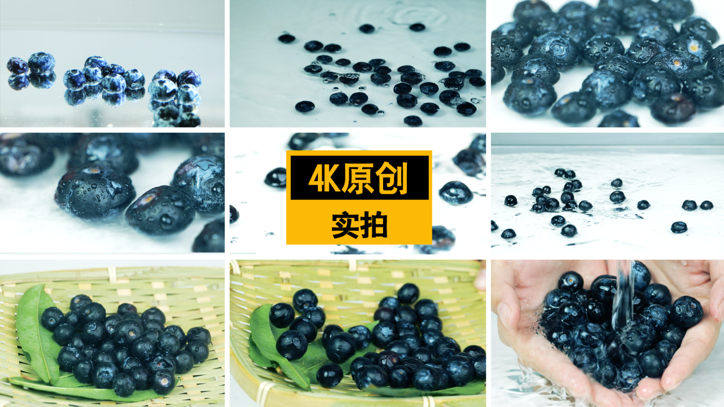 蓝莓——入水升格慢动作蓝莓特写