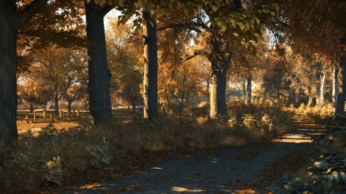 秋季树林落叶乡间小路三维动画