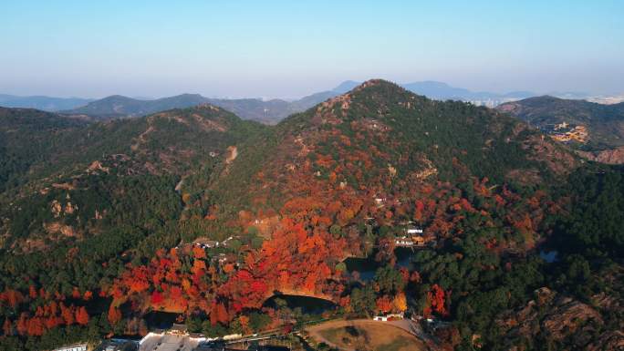 秋景红树林航拍枫叶山水画4k超清分辨率