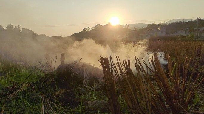 乡村傍晚景色田间傍晚夕阳逆光烟雾弥漫