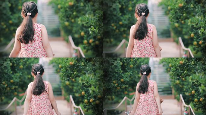 快乐的女孩拿着棒棒糖在橘子林里散步