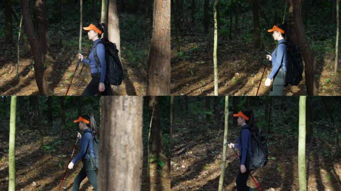 在森林树林中行走的女孩徒步旅行者林中漫步