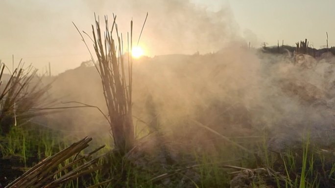 乡村傍晚景色田间傍晚夕阳逆光烟雾弥漫