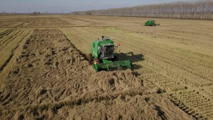 水稻收获秸秆处理绿色农业科技农业高清素材