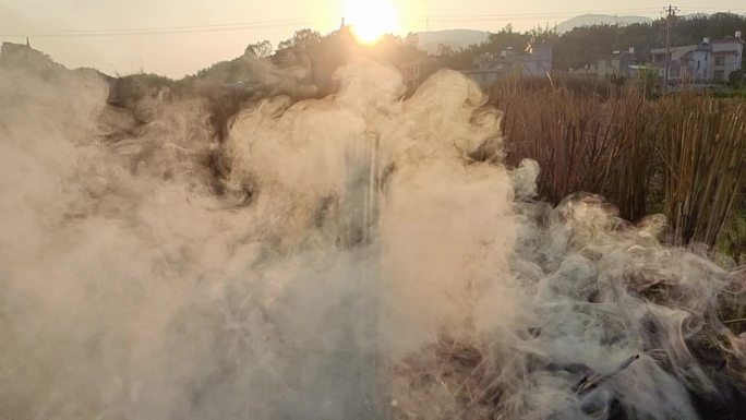 乡村傍晚景色田间傍晚夕阳逆光烟雾弥漫