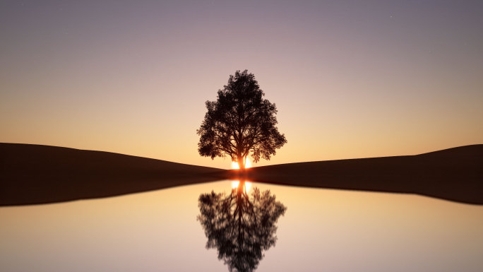 沙漠绿洲倒影星空下希望之树迎接太阳升起