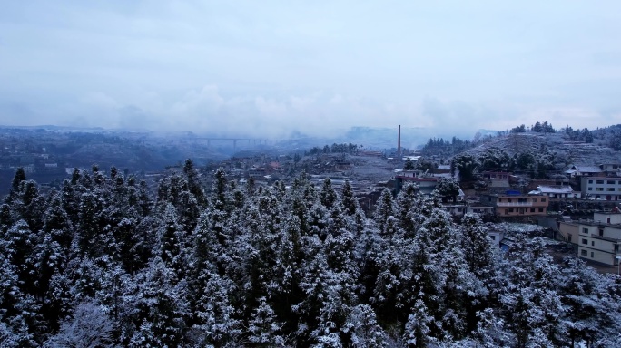 无人机飞跃白雪覆盖的树林