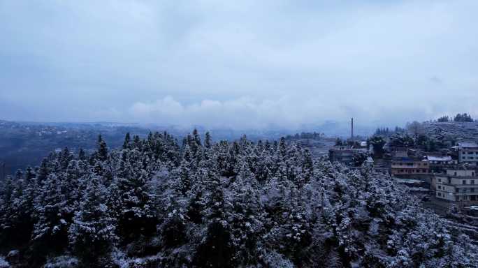 无人机飞跃白雪覆盖的树林