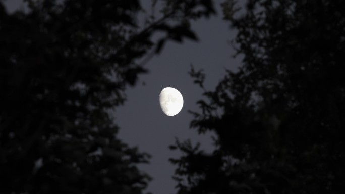4K实拍黑夜月亮警示片素材