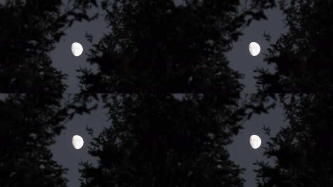 4K实拍黑夜月亮警示片素材