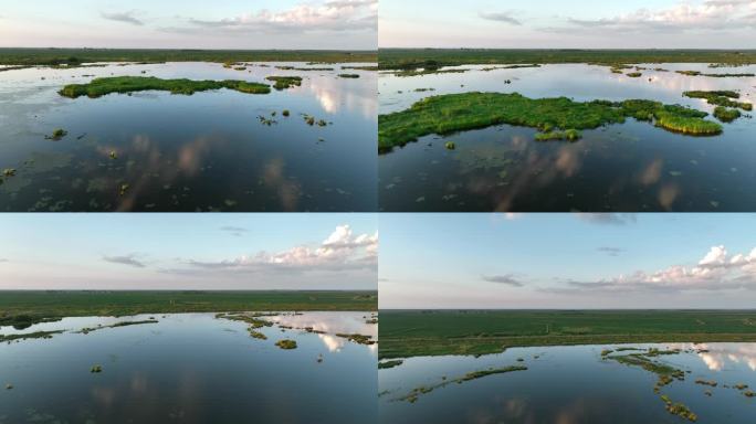湿地，树林，草地，湖泊航拍空镜