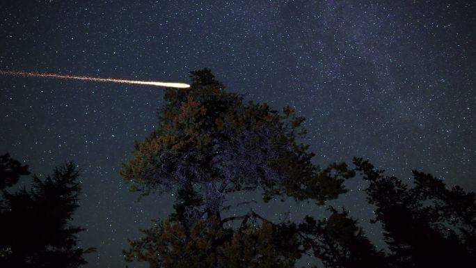 树梢上方有流星的夜空