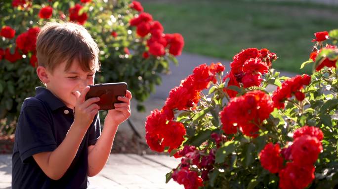 一个小男孩在公共花园里用智能手机拍摄五颜六色的花