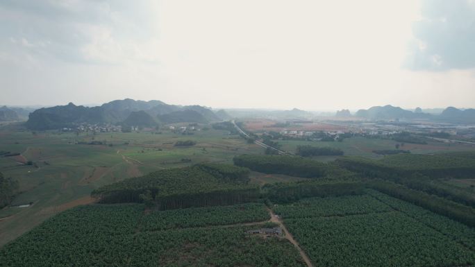 中国广西甘蔗种植园鸟瞰图