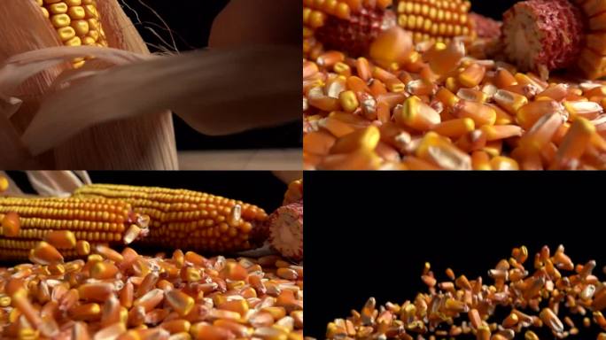 玉米升格创意短视频