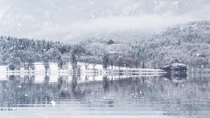 冬日雪景 冬日下雪的湖面