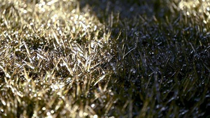 冬季寒冷结冰的草地