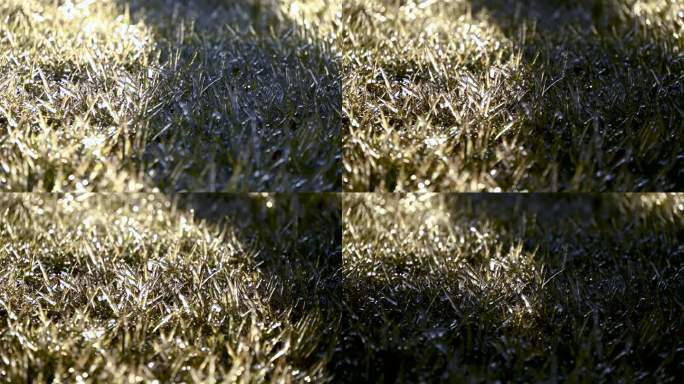 冬季寒冷结冰的草地
