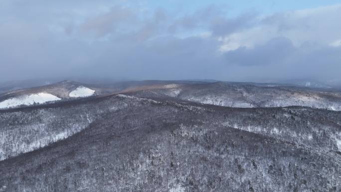 航拍大兴安岭冬季雪色山林