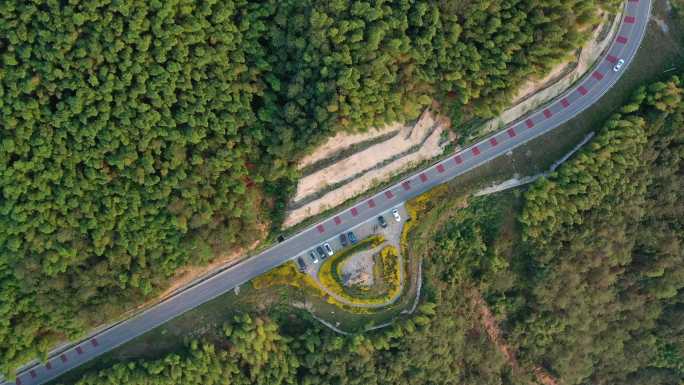 重庆茶山竹海公路旅行航拍自然风光