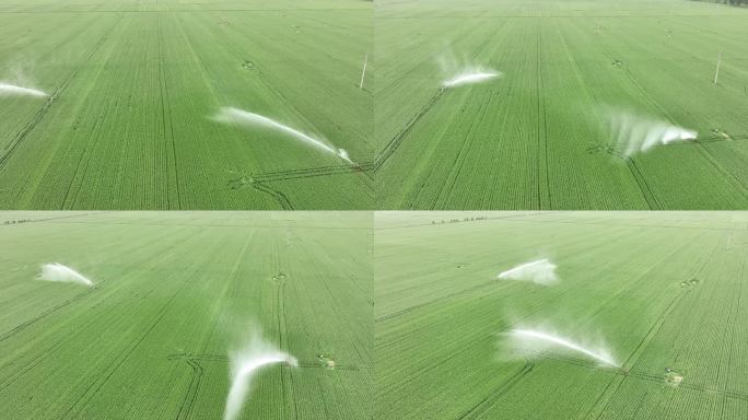 高标准良田冬小麦小麦灌溉科技助农