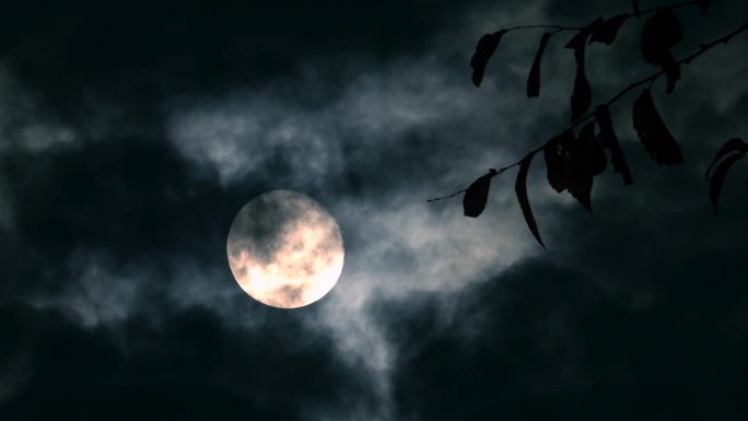 黑夜 树影月亮 圆月暗夜 云遮月